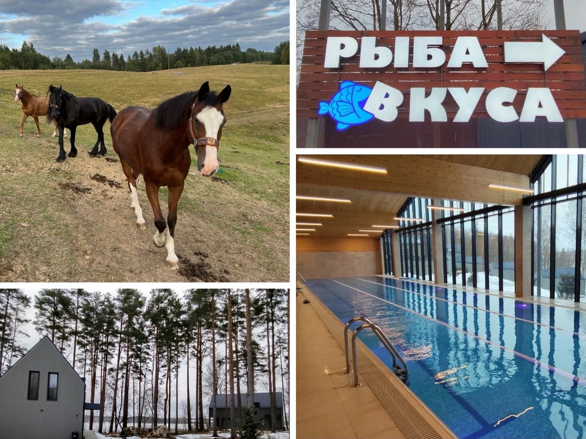 Новинка! Спа-центр Marja Villas&SPA 4*, усадьба «Керро Полле», дегустации в Вартемяги (тур по Всеволожскому и Приозерскому районам)