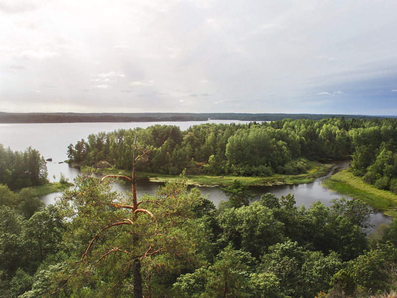 По волнам Ладоги: водное путешествие на остров Кильпола (с обедом и мастер-классом по приготовлению калиток в «Стрелецком остроге»)