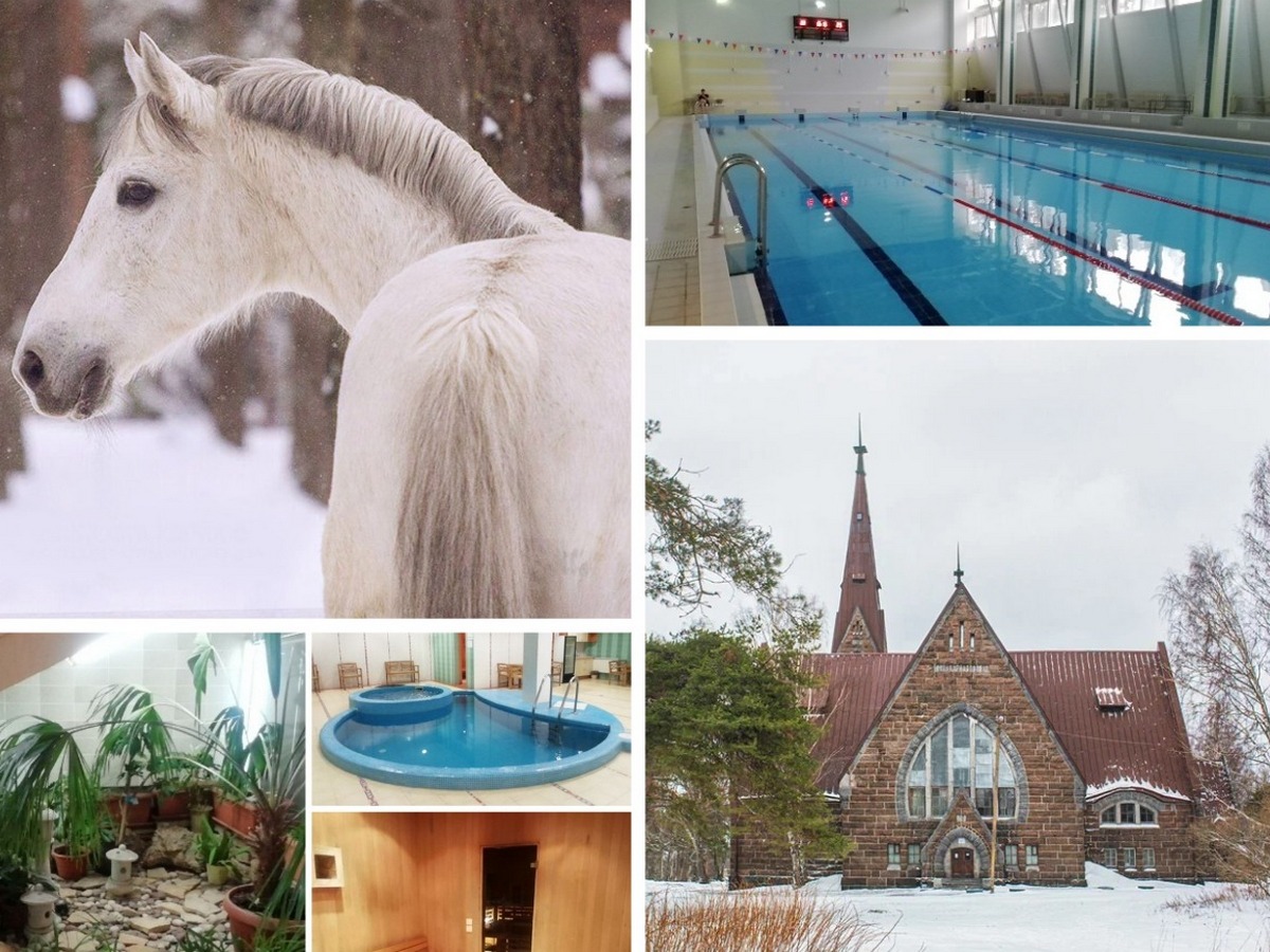 Выходные на базе отдыха «Связист» (с посещением бассейна и банного комплекса). Все включено!