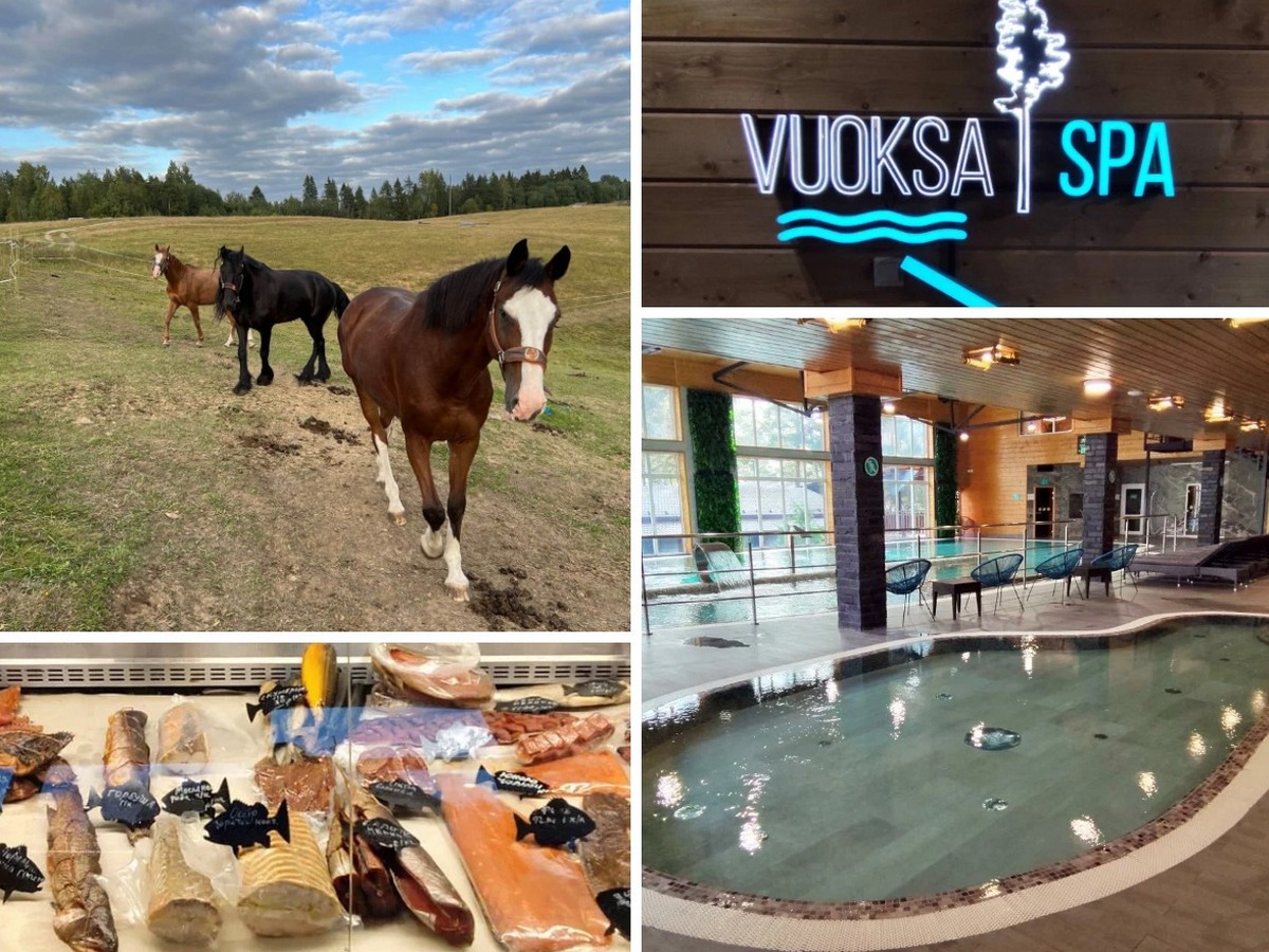 Новинка! Спа-комплекс Vuoksa SPA, усадьба «Керро Полле», дегустации в Вартемяги (тур по Всеволожскому и Приозерскому районам)