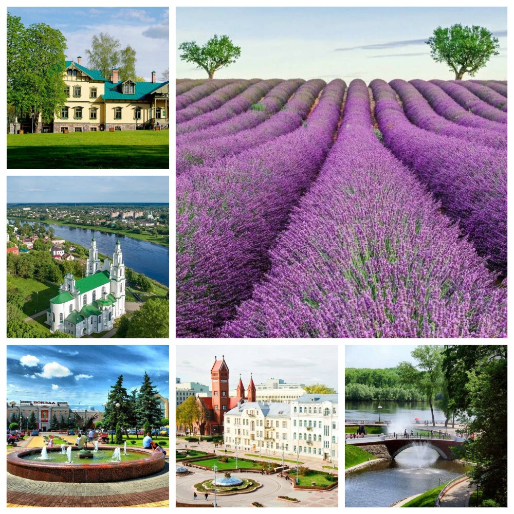 Беларусь в лавандовых тонах (Минск, Ветка, Гомель, Полоцк)