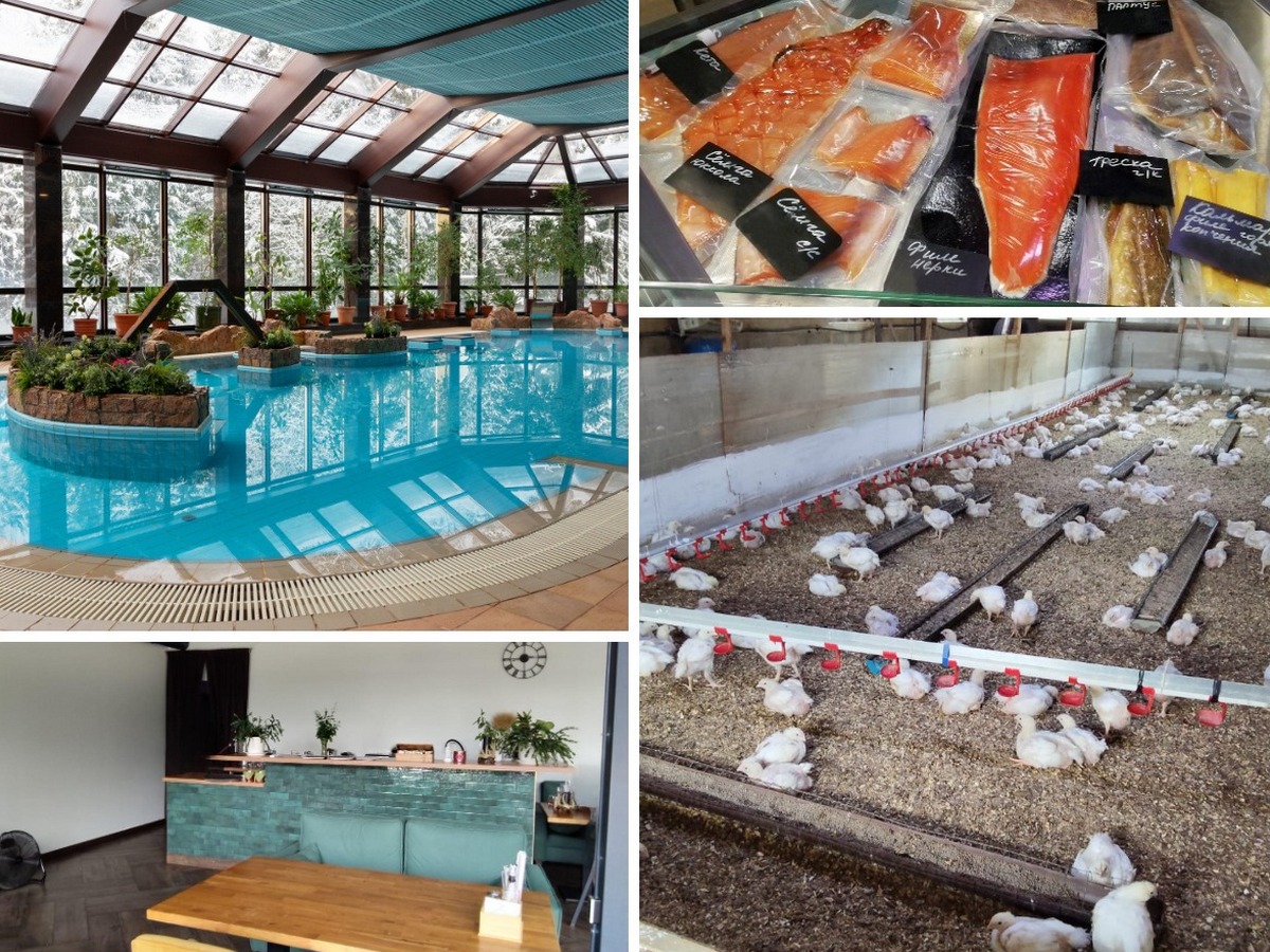 Отдых в спа-отеле «Тапиола» и угощения на Выборгской земле (с обедом в фермерском ресторане и дегустацией рыбы)