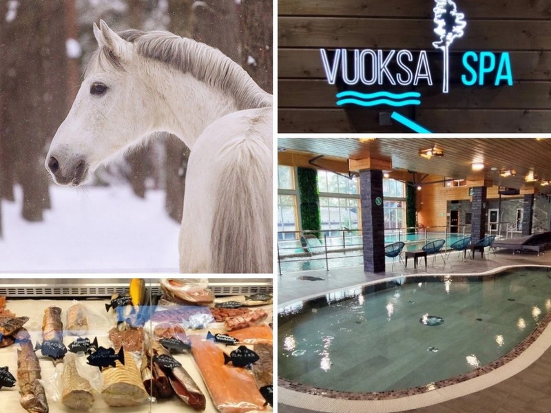 Новинка! Спа-комплекс Vuoksa SPA, усадьба «Керро Полле», дегустации в Вартемяги (тур по Всеволожскому и Приозерскому районам)