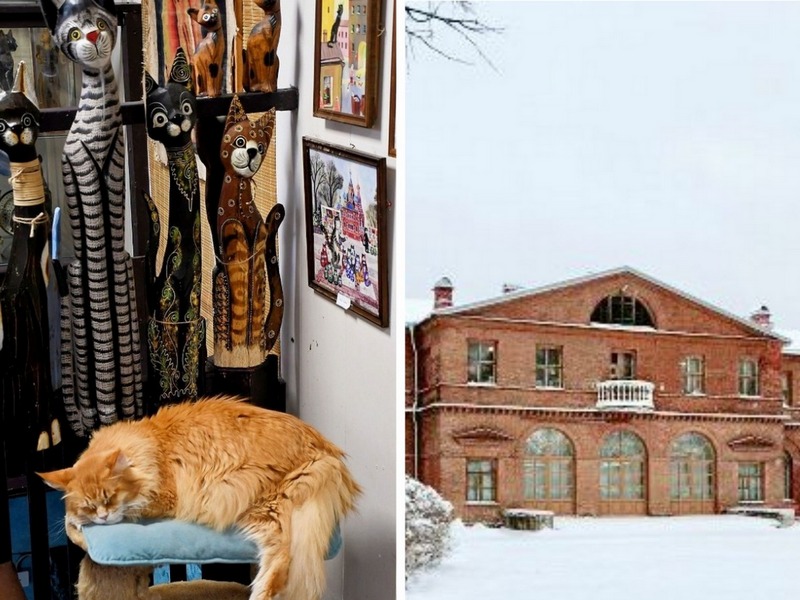 Такой разный Всеволожск – от усадьбы Приютино до «приюта» кошек