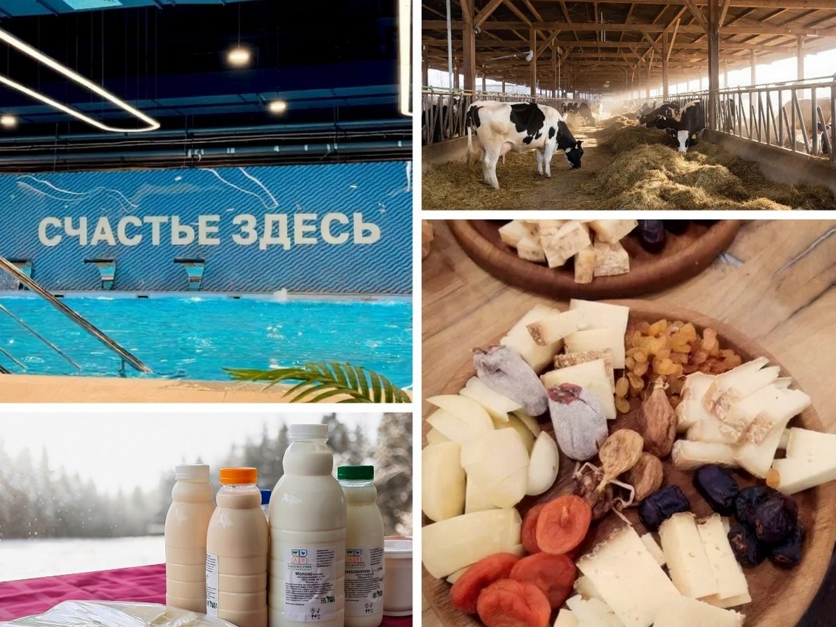 Новинка! Новогодний гастрономический спа-тур по Гатчинскому району с отдыхом в спа-центре «Termoland»