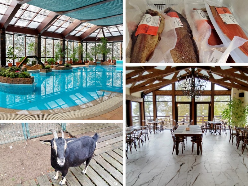 Новинка! Отдых в спа-отеле «Тапиола» и угощения на Выборгской земле (с посещением центра отдыха «Бородинское»)