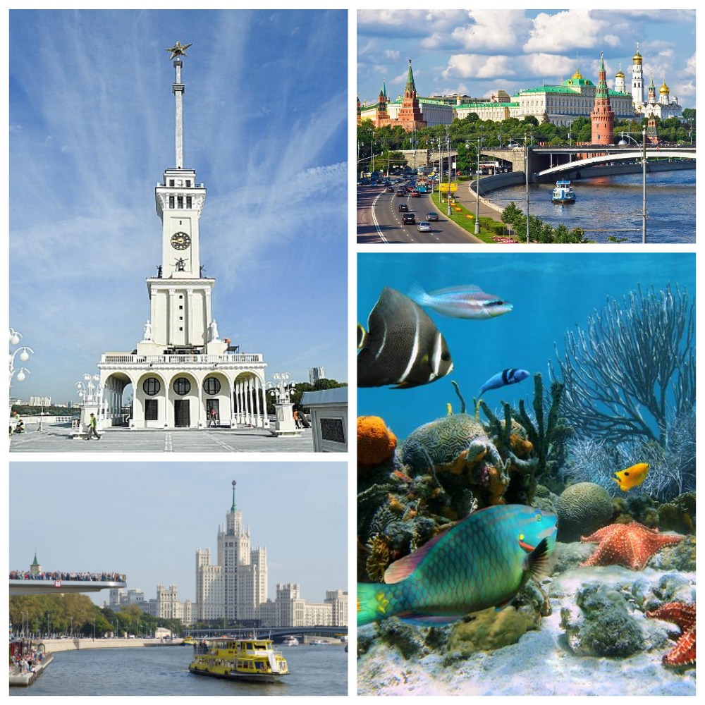 Москва – порт пяти морей (Океанариум, прогулка по Москве-реке, Северный речной вокзал)
