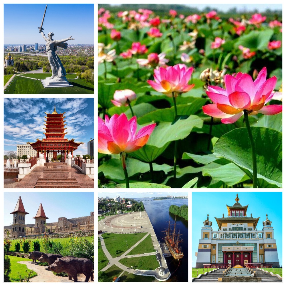 \"Лоскутное одеяло южных городов\" с посещением полей лотосов (Тула ...