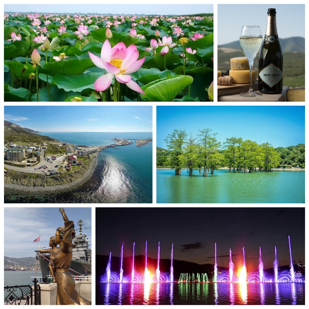 Южные приключения и Долина Лотосов (Калуга, Воронеж, Новороссийск ...