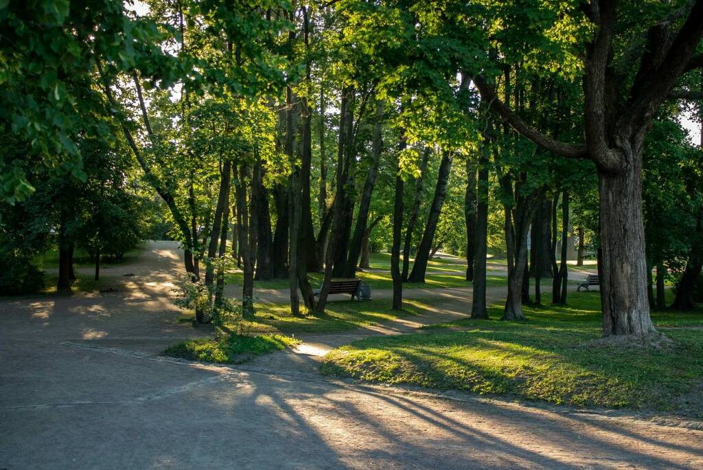 Парк ленина. Парк Эспланада Выборг. Парк Ленина Выборг. Парк Эспланада (парк имени Ленина) Выборг. Эспланада в Выборге Эспланада парк.