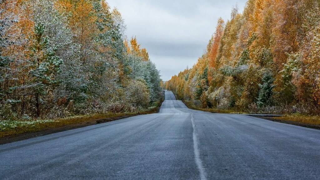 Дорога в осень