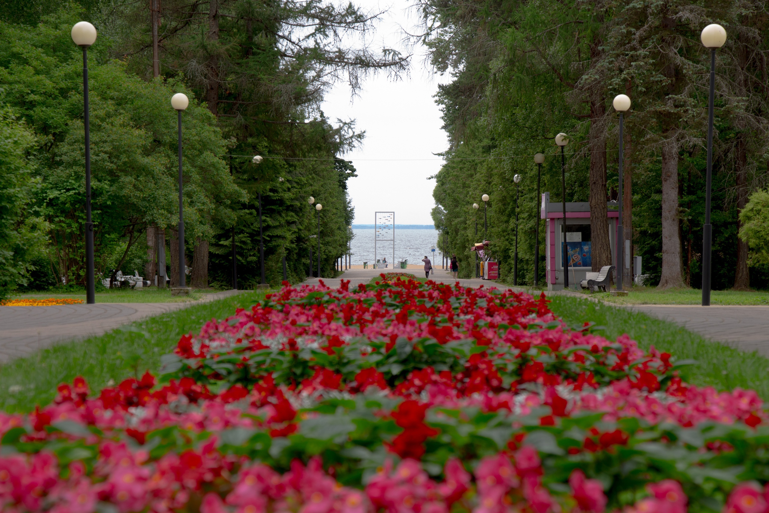 красивые места в сестрорецке для