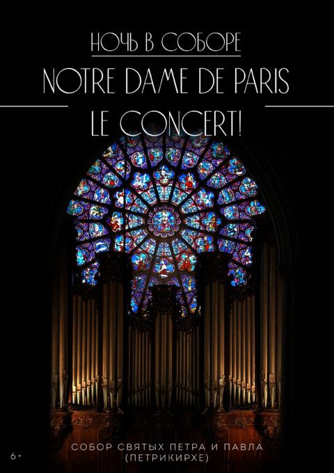 Ночь в соборе «Notre Dame de Paris. Le concert»