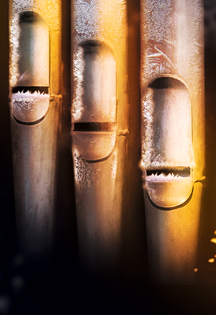 Концерт "Орган. В предчувствии Рождества "